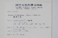 臺灣赤楊、臺灣榿木藏品圖，第2張