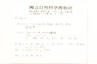 蔓黃菀藏品圖，第2張