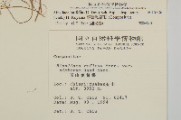 臺灣鬼督郵藏品圖，第2張