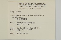 尼泊爾籟簫藏品圖，第2張