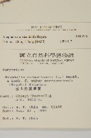 玉山抱莖籟簫藏品圖，第2張