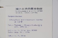 玉山沙參藏品圖，第2張