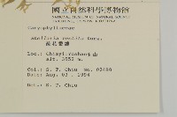 疏花繁縷藏品圖，第2張