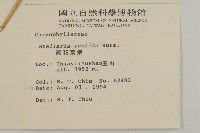 疏花繁縷藏品圖，第2張