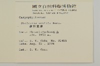 疏花繁縷藏品圖，第2張