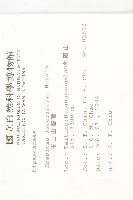 玉山山蘿蔔藏品圖，第2張