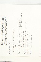 柿、柿仔、紅柿藏品圖，第2張