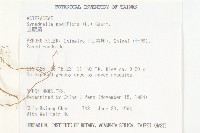 金腰箭藏品圖，第2張