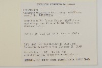 多花滇南蛇藤藏品圖，第5張