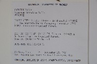 呂宋莢迷藏品圖，第2張