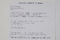 木蠟樹、山漆藏品圖，第2張