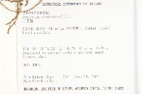 土丁桂藏品圖，第2張