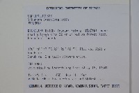 呂宋莢迷藏品圖，第2張