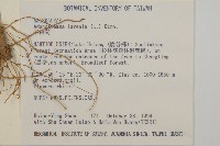 下田菊藏品圖，第2張