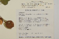 臺灣鬼督郵藏品圖，第2張