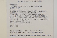 石胡荽、吐金草藏品圖，第2張