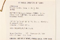 蔓澤蘭藏品圖，第2張