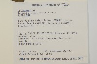 草珊瑚、紅果金粟蘭藏品圖，第2張