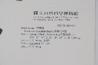 臺灣附地草藏品圖，第2張