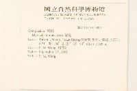 矮菊藏品圖，第2張