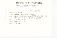 玉山佛甲草藏品圖，第2張