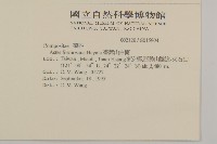 臺灣山白蘭藏品圖，第2張