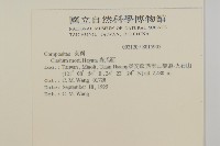 玉山薊藏品圖，第2張