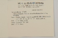 小花繁縷藏品圖，第2張