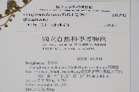 琉璃草藏品圖，第2張