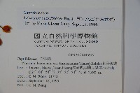 樺葉莢迷、玉山莢迷藏品圖，第2張