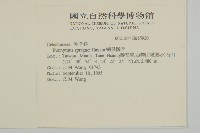 刺果衛矛藏品圖，第2張