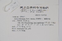 臺灣赤楊、臺灣榿木藏品圖，第2張