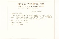 一枝黃花藏品圖，第2張