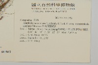 玉山抱莖籟簫藏品圖，第2張