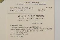 黃金珠藏品圖，第2張