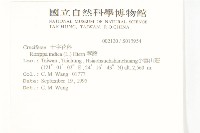 葶藶藏品圖，第2張