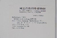 登錄號:S015964藏品圖，第2張