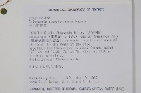 臺北附地草藏品圖，第2張