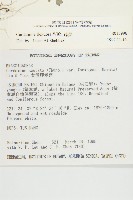 焊菜藏品圖，第2張