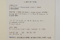 細葉假黃鵪菜藏品圖，第2張