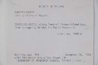 圓葉冬青藏品圖，第2張