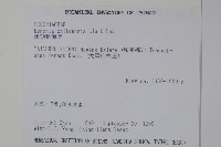 溪頭秋海棠藏品圖，第2張