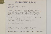 臺灣馬蘭藏品圖，第2張