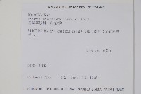 長花厚殼樹藏品圖，第5張