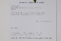 蘿芙木藏品圖，第2張