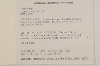 薄葉艾納香藏品圖，第2張