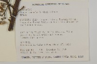 走馬胎藏品圖，第2張