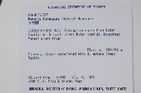 水鴨腳藏品圖，第2張