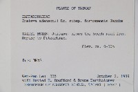 魚木藏品圖，第2張