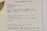 臺灣馬蘭藏品圖，第2張